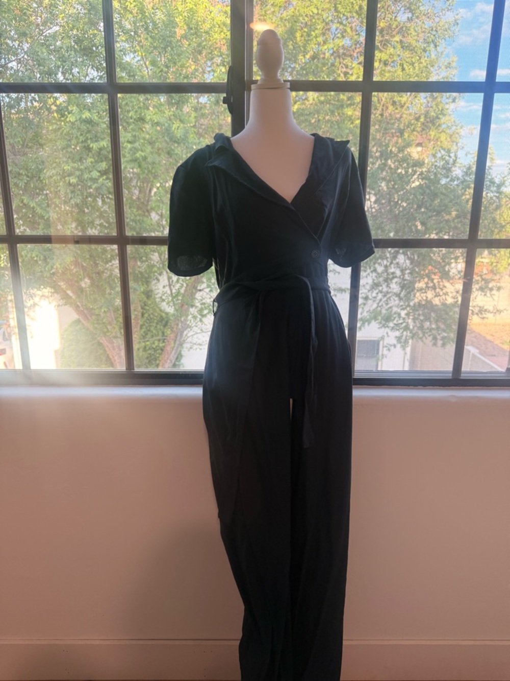 Francesca's Collections Black V-Neck Jumpsuit with Waist Tie